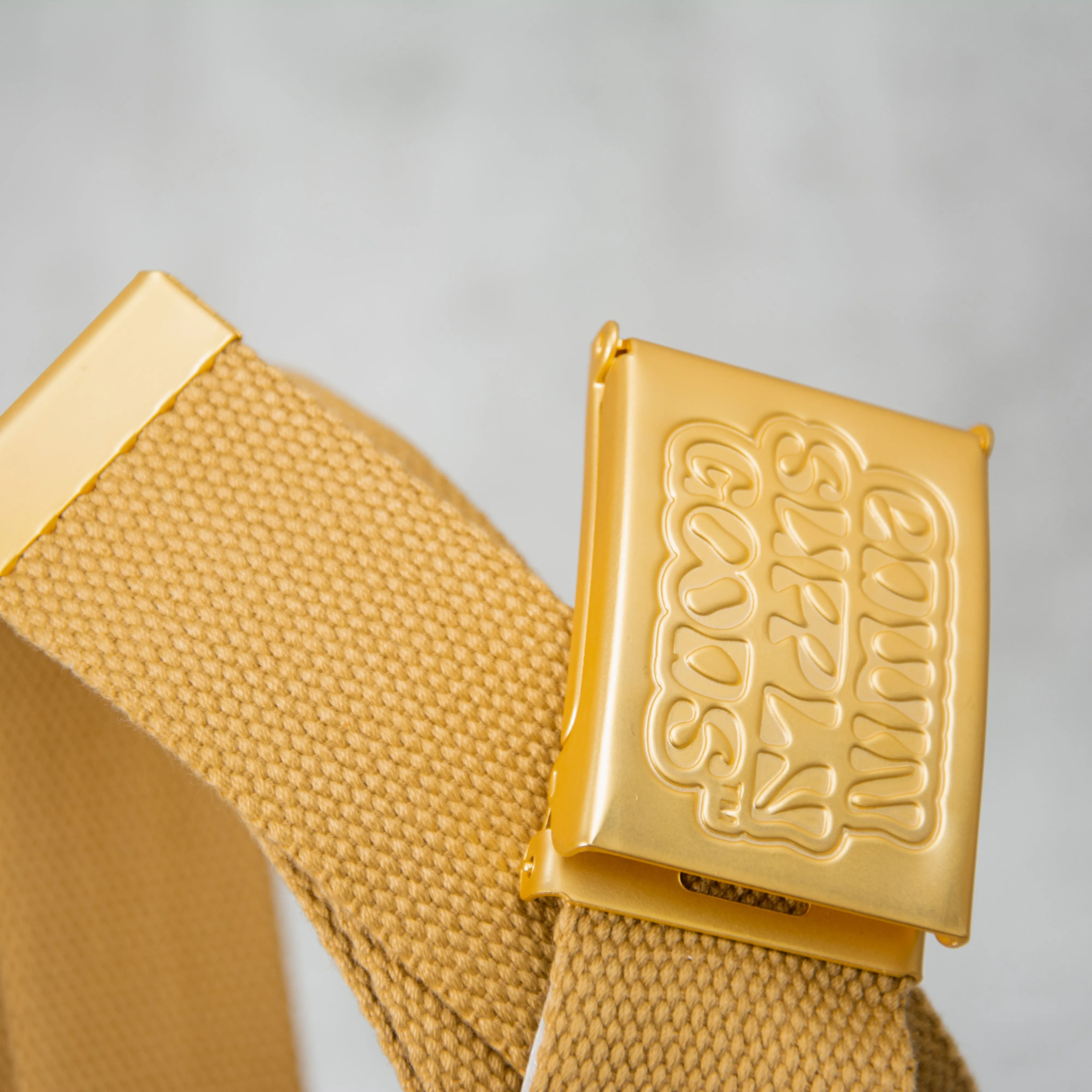 Edwin Clip Belt - Gold