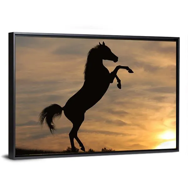 Horse In Sunset Canvas Wall Art