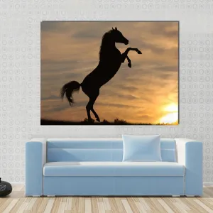 Horse In Sunset Canvas Wall Art