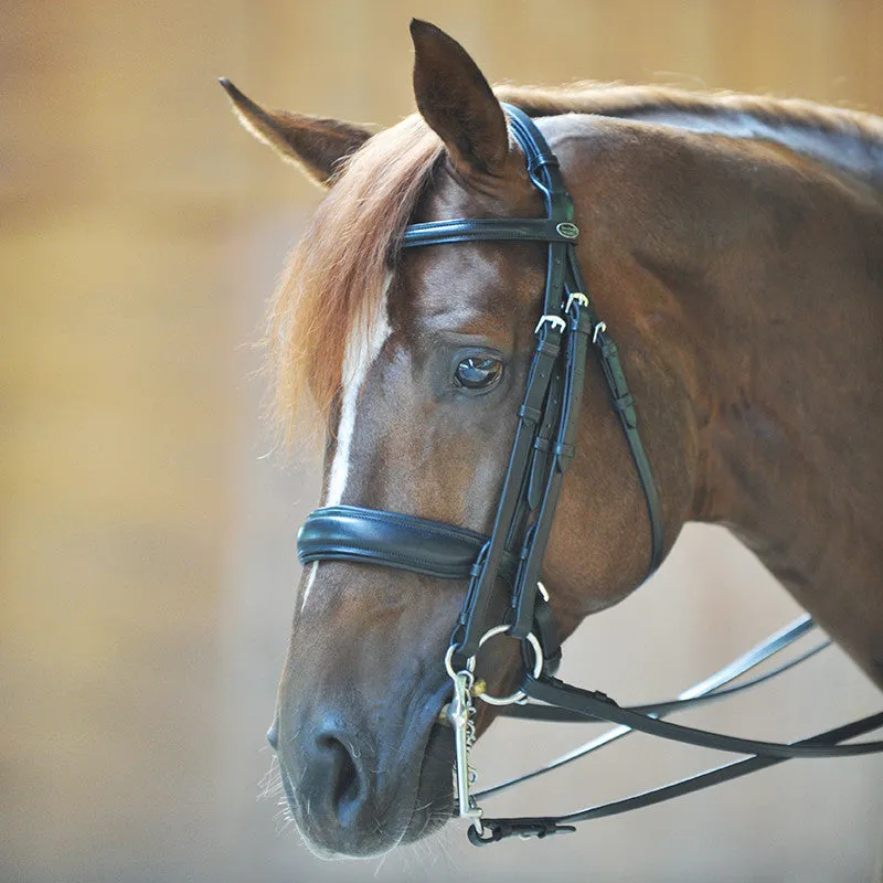 Kavalkade Dacira Double Bridle