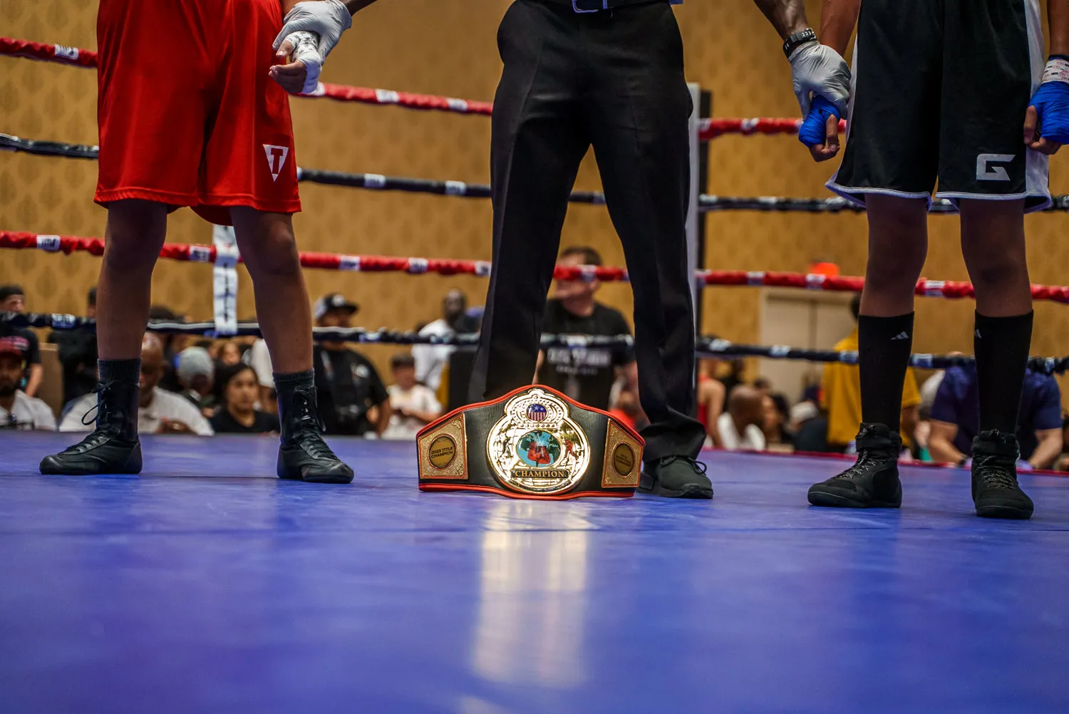 TITLE Boxing World Championship Title Belt