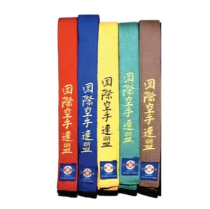 VICTORBUDO USA KYOKUSHIN EMBROIDERED KARATE BELT IN ALL COLORS